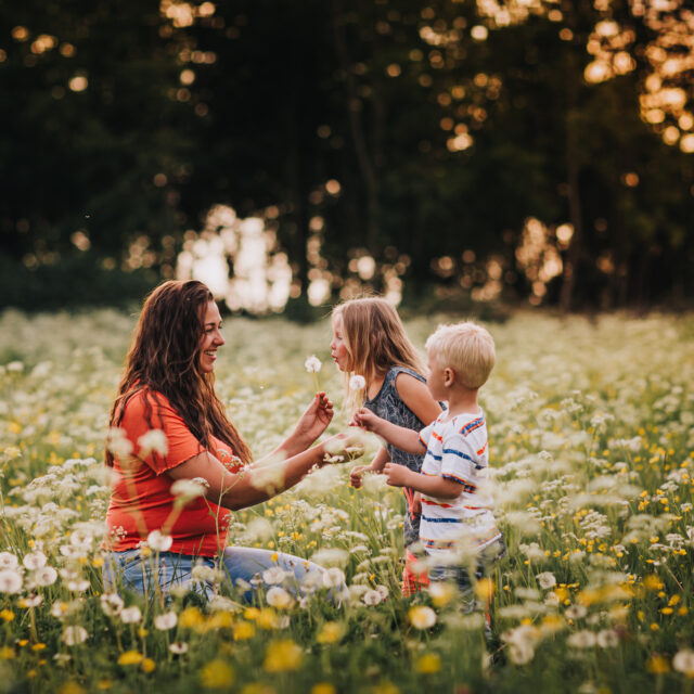 gezinsfotografie in bloemenveld goldenhour, tollebeek
